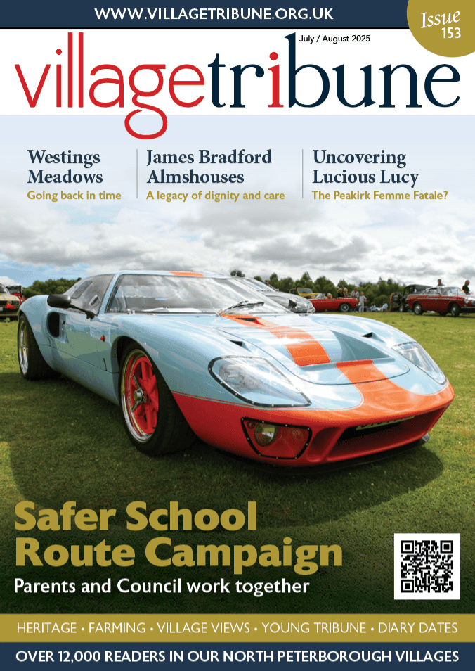 Issue 153 - The Village Tribune