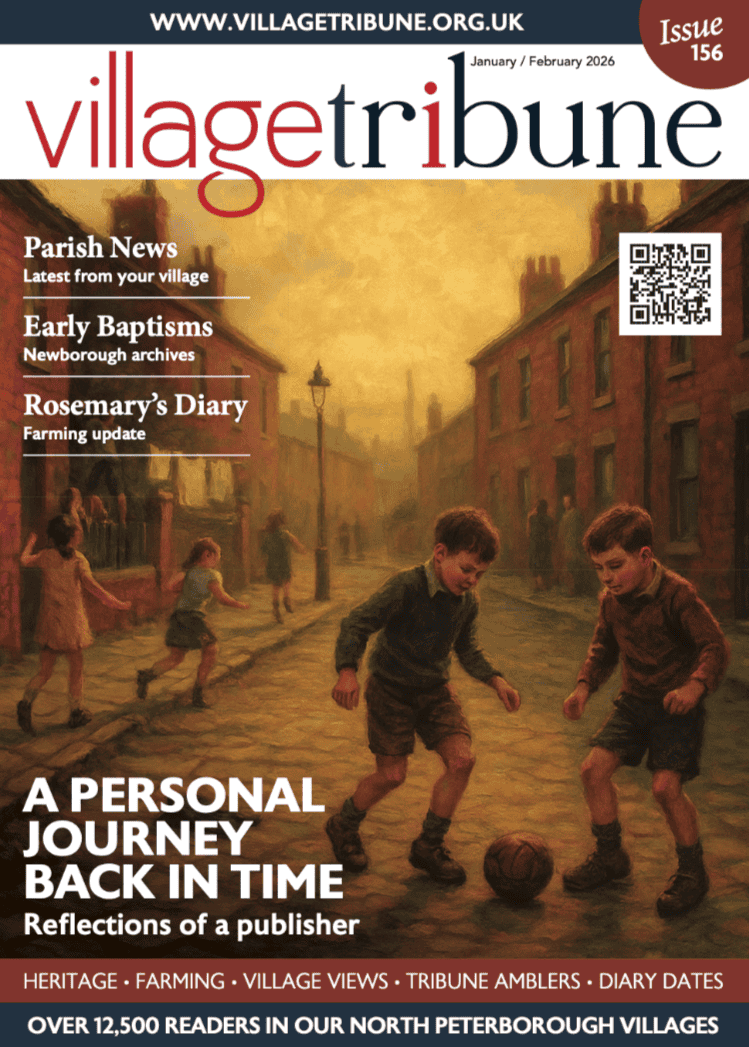 Issue 156 - The Village Tribune